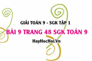 Giải bài 9 trang 48 SGK Toán 9 tập 1
